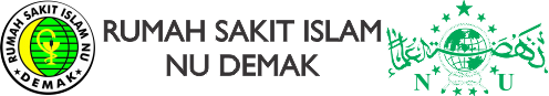 RSINU DEMAK